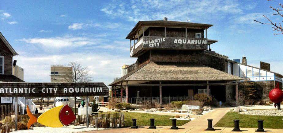 Photo of Atlantic City Aquarium