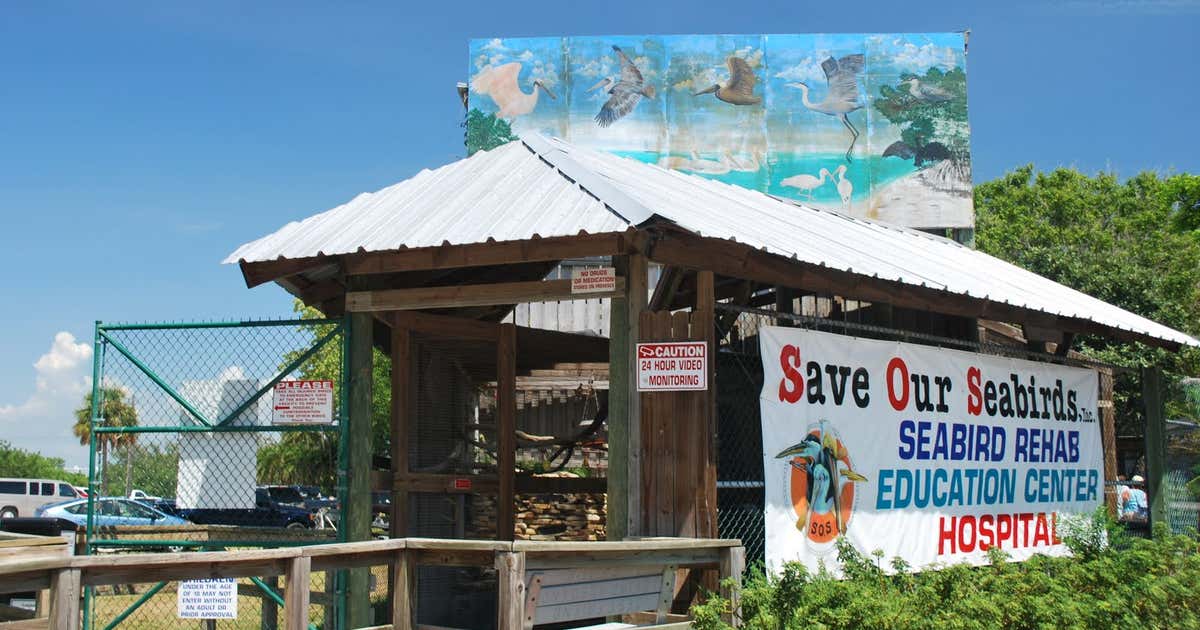 Save Our Seabirds rehabilitation and education center entrance on City Island in Sarasota.