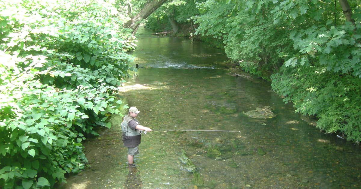 Boiling Spring Lakes Preserve, Boiling Spring Lakes Roadtrippers