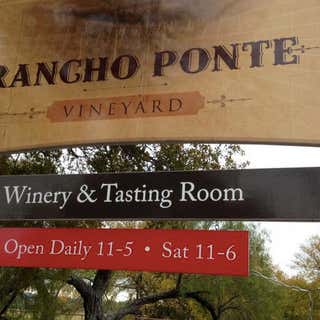 Rancho Ponte Vineyard