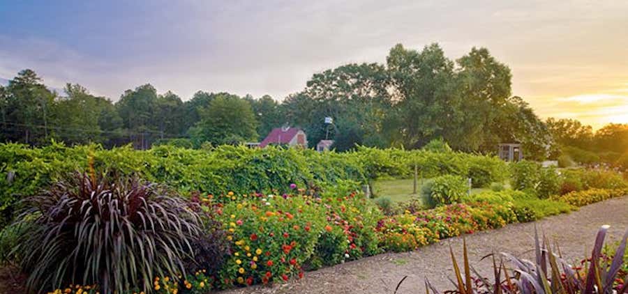 Photo of Callaway Gardens