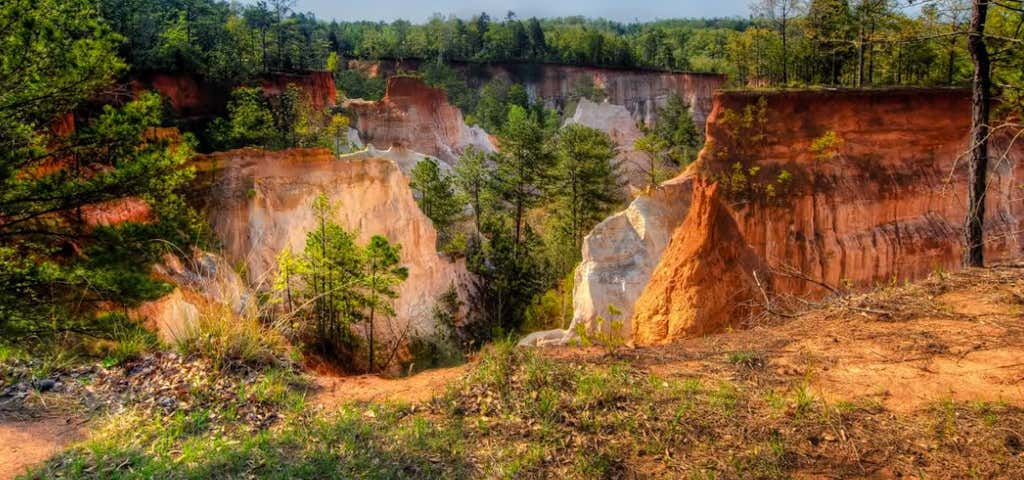 Photo of Providence Canyon State Outdoor Recreation Area