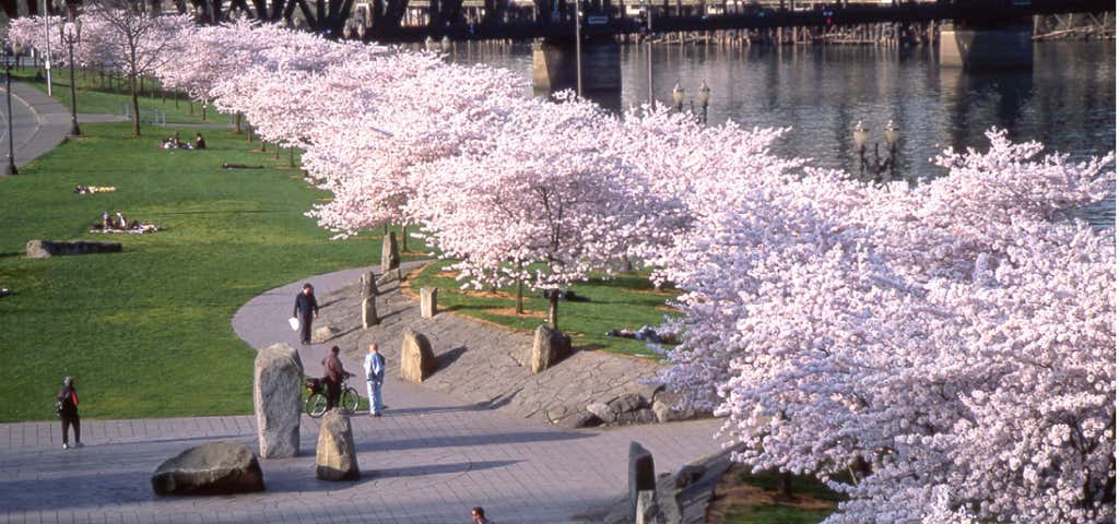 Photo of Japanese American Historical Plaza