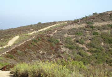 Photo of Laguna Coast Wilderness Park