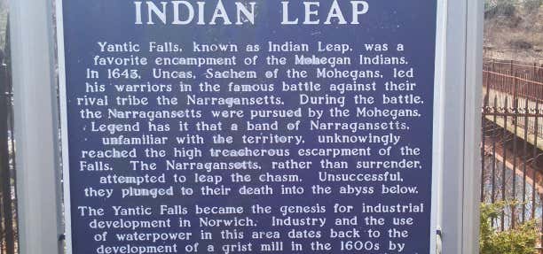 Photo of Indian Leap