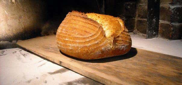 Photo of Dogwood Bread Company