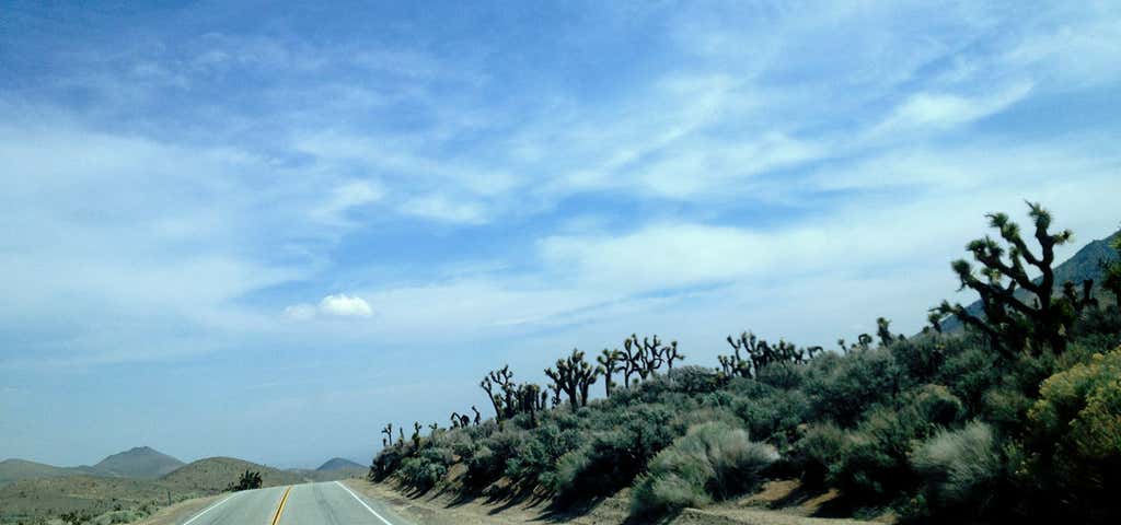 Photo of The Joshua Tree Forest of California Route 178