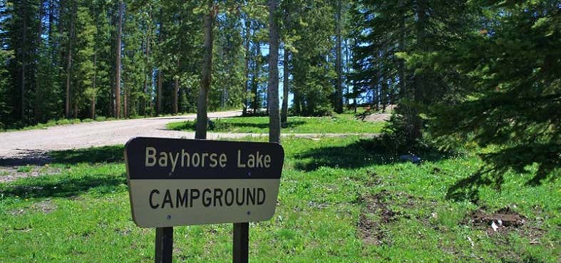 Photo of Bayhorse Campground