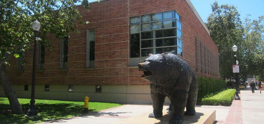 Photo of The Bruin Bear Statue