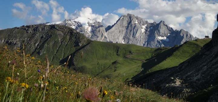 Photo of International Alpine Guides & California Alpine Guides