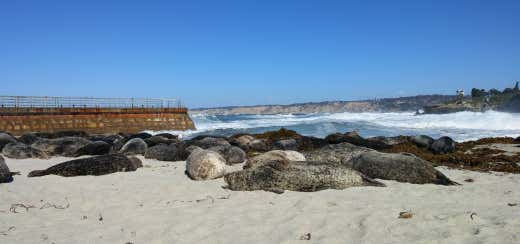 Photo of Seal Beach