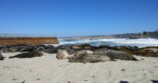 Seal Beach, San Diego Roadtrippers