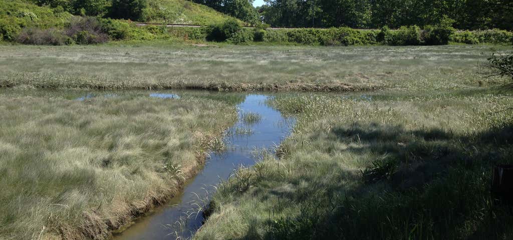 Photo of Fore River Sanctuary