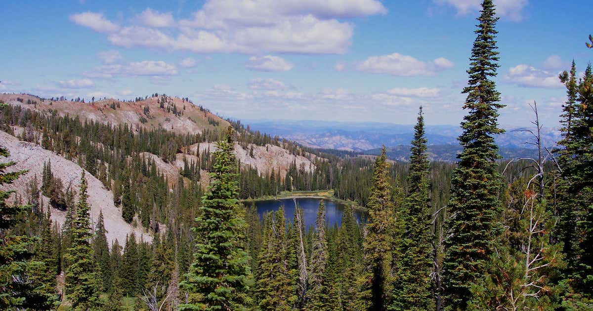 Lodgepole Campground, California Roadtrippers