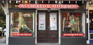 The Great American Alligator Museum