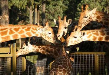 Photo of Taronga Western Plains Zoo