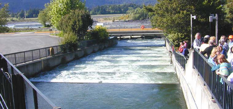 Photo of Bonneville Lock & Dam