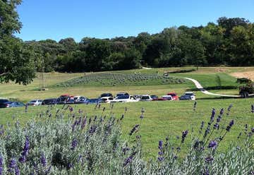 Photo of The Loess Hills Lavender Farm