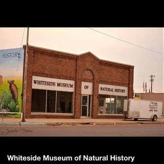 Whiteside Museum Of Natural History