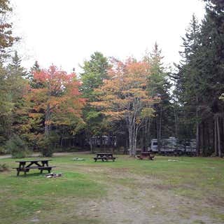 Sherwood Forest Campsite & Cabins