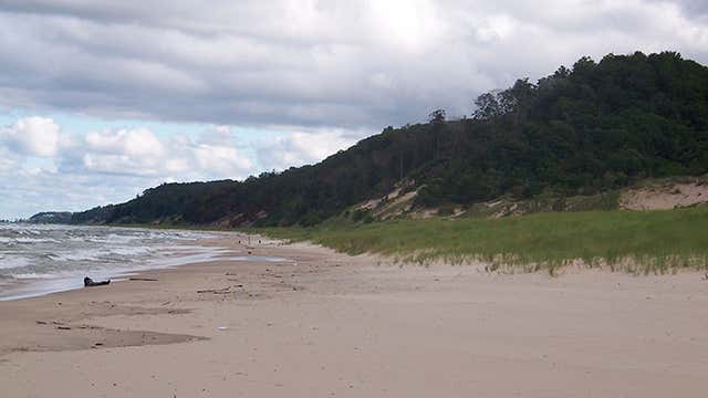 Saugatuck Dunes State Park Saugatuck Mi Roadtrippers