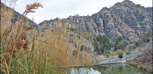 La Madre Springs