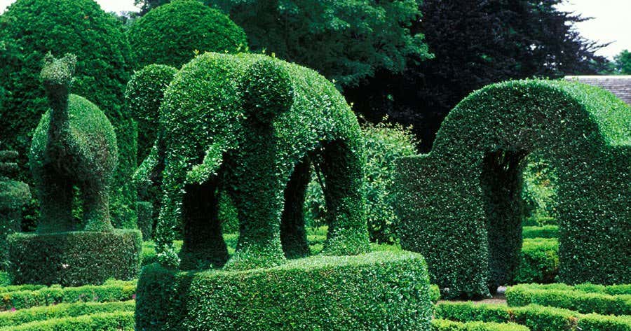 Green Animals Topiary Gardens, Rhode Island | Roadtrippers