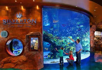 Photo of Silverton Aquarium