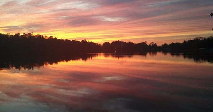 Pine Shore Cottages On Toddy Pond, East Orland Roadtrippers