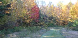 Mount Jefferson View