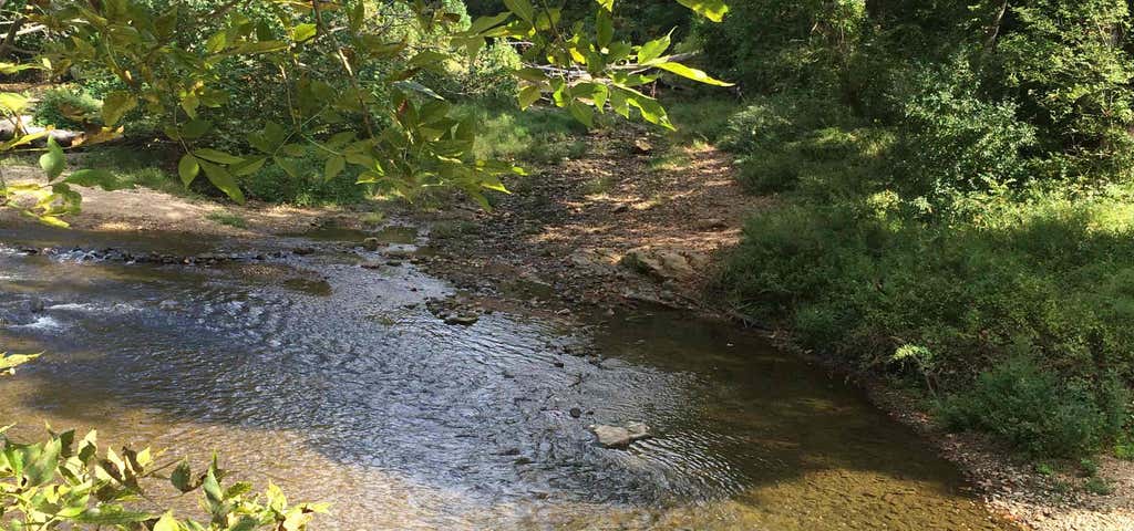 Photo of White Clay Creek State Park