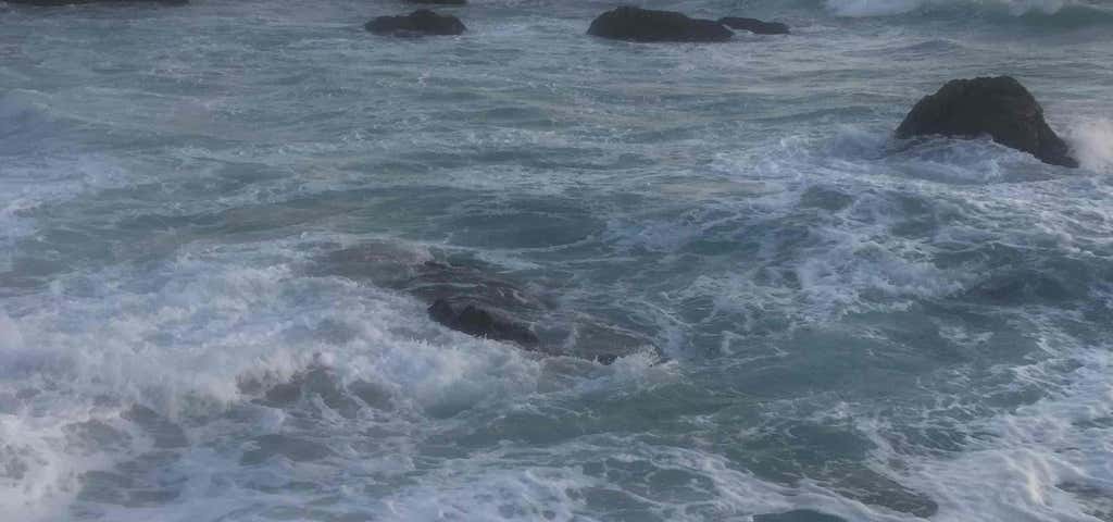 Photo of Bodega Head