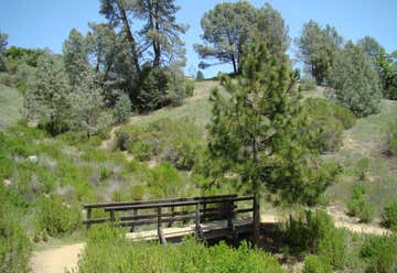 Photo of Henry Coe State Park