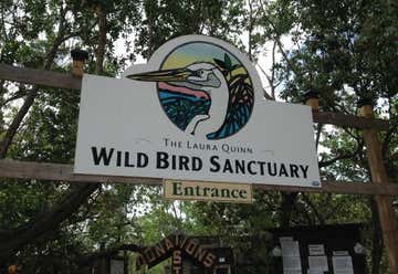 Photo of Florida Keys Wild Bird Center