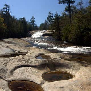 Dupont State Forest