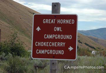 Photo of Great Horned Owl Campground