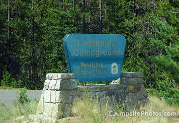 Photo of Lodgepole Mt Rainier Campground