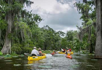 Photo of New Orleans Kayak Swamp Tours