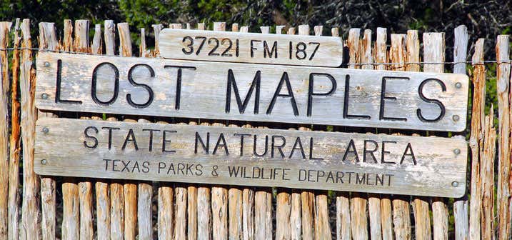 Photo of Lost Maples State Natural Area Campground