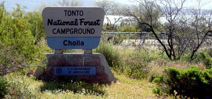 Photo of Cholla Campground
