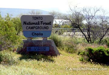 Photo of Cholla Campground