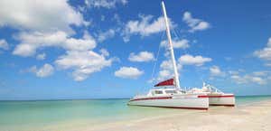 Sweet Liberty Catamaran Sailing & Boat Tours
