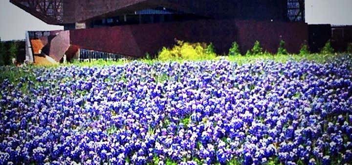 Photo of The Westin Irving Convention Center At Las Colinas