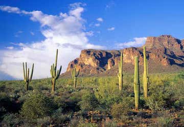 Photo of Tonto National Forest
