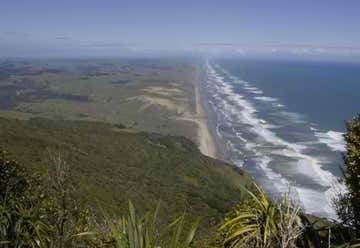 Photo of Kauri Coast