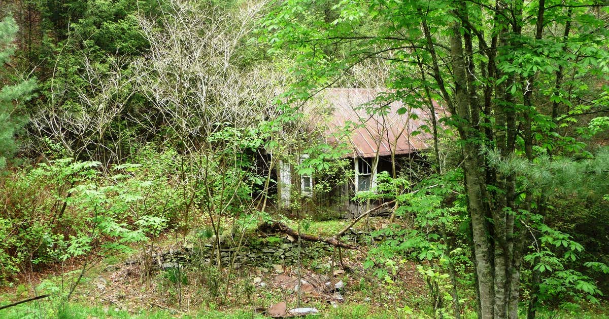 Lost Cove Ghost Town Erwin Roadtrippers
