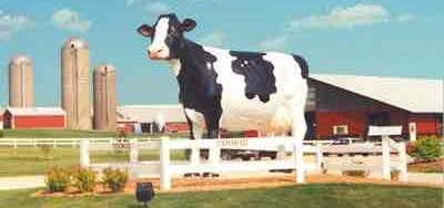 Photo of Schopf Hilltop Dairy