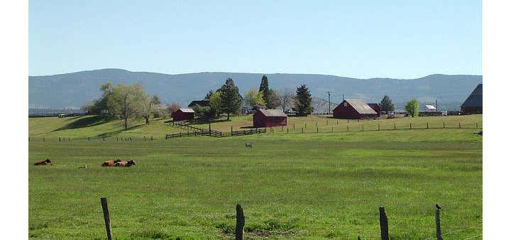 Photo of Frosty Acres Ranch