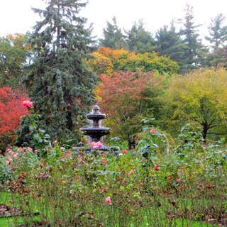 Schenectady Central Park Rose Garden