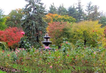 Photo of Schenectady Central Park Rose Garden